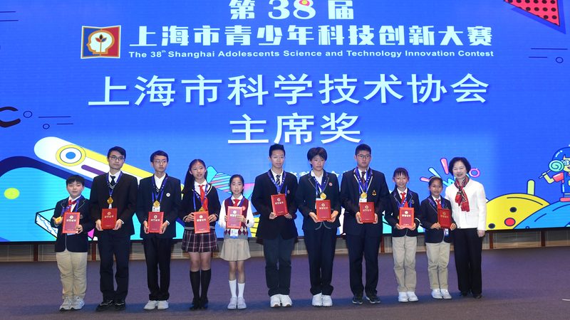 上海智慧解决方案品牌：引领城市智能化转型的力量**