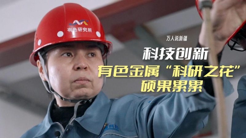 北京供应链管理系统：揭秘其核心功能与选型要点